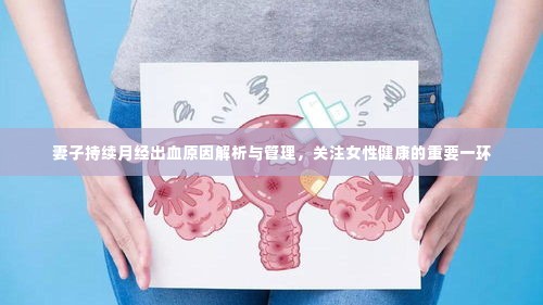 妻子持续月经出血原因解析与管理，关注女性健康的重要一环