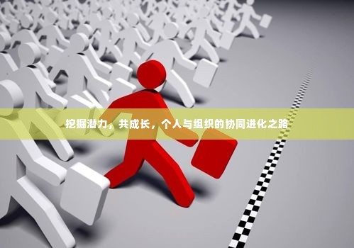 挖掘潜力,共成长,个人与组织的协同进化之路