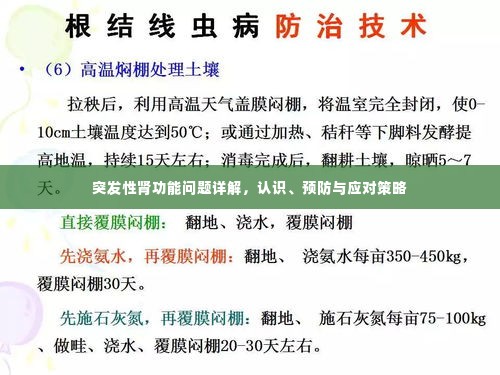 突发性肾功能问题详解,认识、预防与应对策略