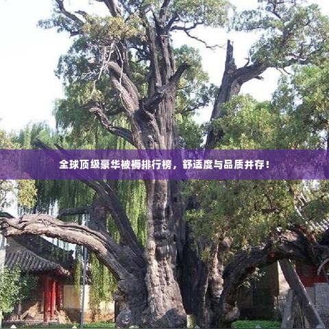 全球顶级豪华被褥排行榜,舒适度与品质并存!