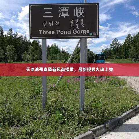 天池池哥直播新风尚探索,最新视频火热上线