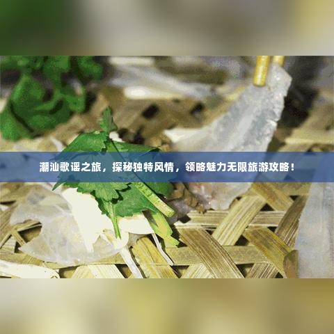 潮汕歌谣之旅,探秘独特风情,领略魅力无限旅游攻略!