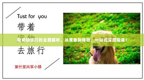 带宠物旅行的全面解析，从准备到体验，一站式深度报道！