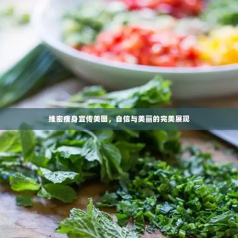 维密瘦身宣传美图,自信与美丽的完美展现