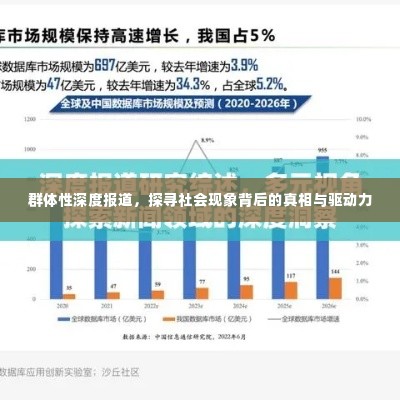 群体性深度报道,探寻社会现象背后的真相与驱动力