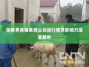 张家界养猪系统公司排行榜及影响力深度解析