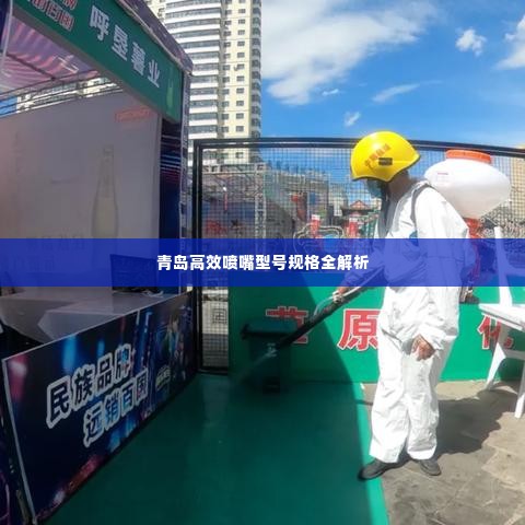 青岛高效喷嘴型号规格全解析