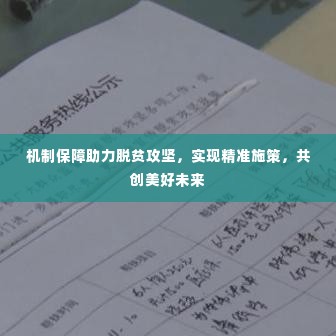 机制保障助力脱贫攻坚，实现精准施策，共创美好未来