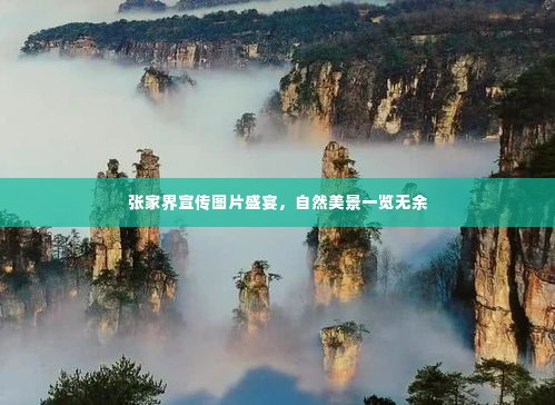 张家界宣传图片盛宴,自然美景一览无余