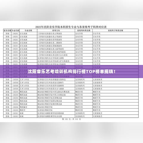 沈阳音乐艺考培训机构排行榜TOP榜单揭晓!