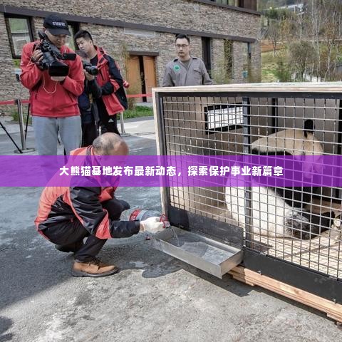 大熊猫基地发布最新动态，探索保护事业新篇章