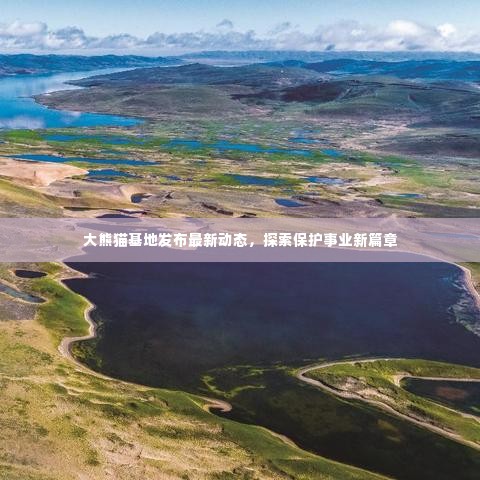 大熊猫基地发布最新动态,探索保护事业新篇章