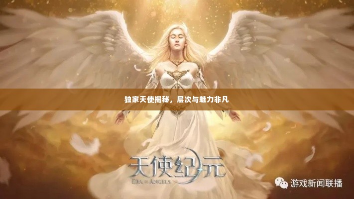 独家天使揭秘，层次与魅力非凡