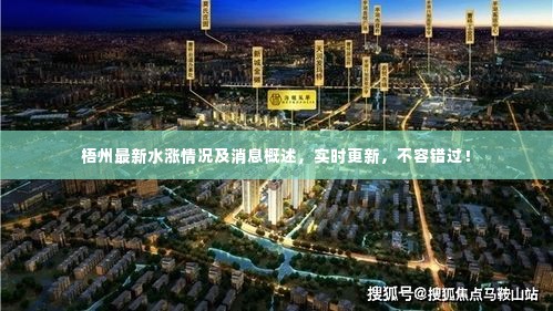 梧州最新水涨情况及消息概述,实时更新,不容错过!