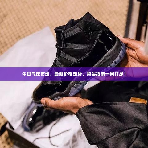 今日气球市场,最新价格走势、购买指南一网打尽!