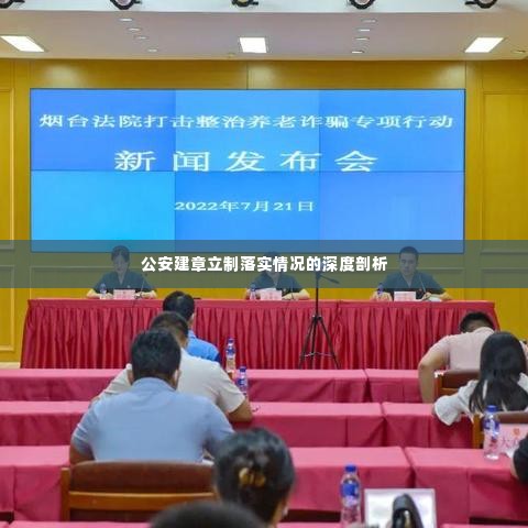 公安建章立制落实情况的深度剖析