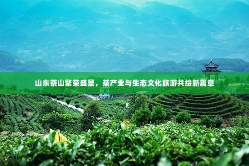 山东茶山繁荣盛景,茶产业与生态文化旅游共绘新篇章