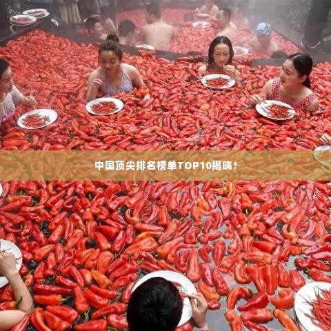 中国顶尖排名榜单TOP10揭晓!
