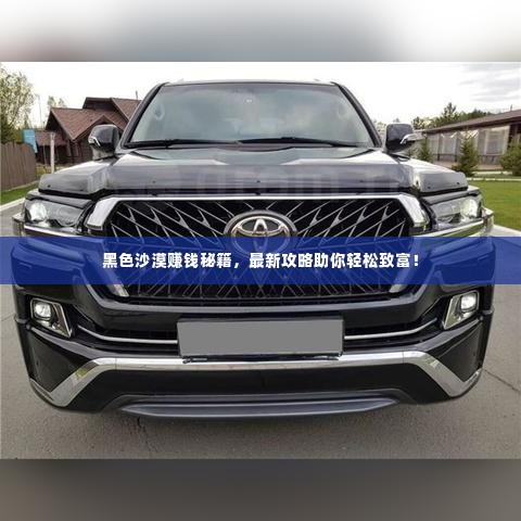 黑色沙漠赚钱秘籍,最新攻略助你轻松致富!