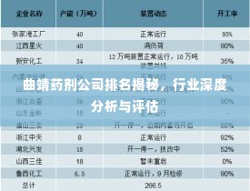 曲靖药剂公司排名揭秘,行业深度分析与评估