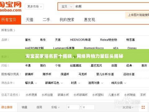 淘宝买家排名前十揭晓,网络购物力量巨头揭秘