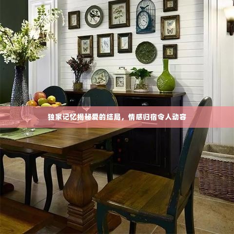 独家记忆揭秘爱的结局,情感归宿令人动容