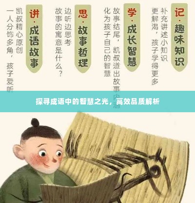 探寻成语中的智慧之光，高效品质解析