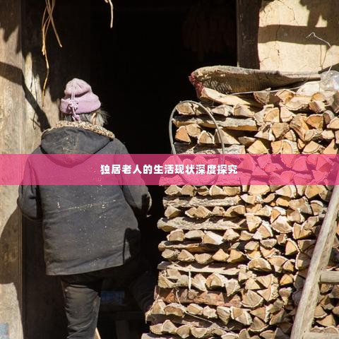 独居老人的生活现状深度探究