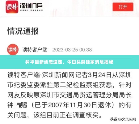 钟平最新动态速递，今日头条独家消息揭秘