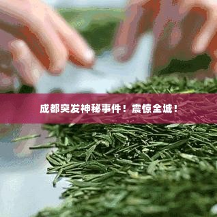 成都突发神秘事件！震惊全城！