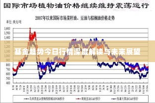 基金趋势今日行情深度解读与未来展望