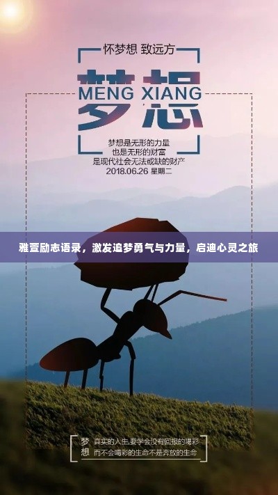 雅萱励志语录,激发追梦勇气与力量,启迪心灵之旅