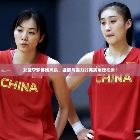 女篮李梦赛场风采,坚韧与实力的完美展现视频!