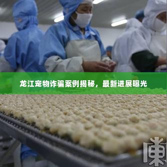 龙江宠物诈骗案例揭秘,最新进展曝光