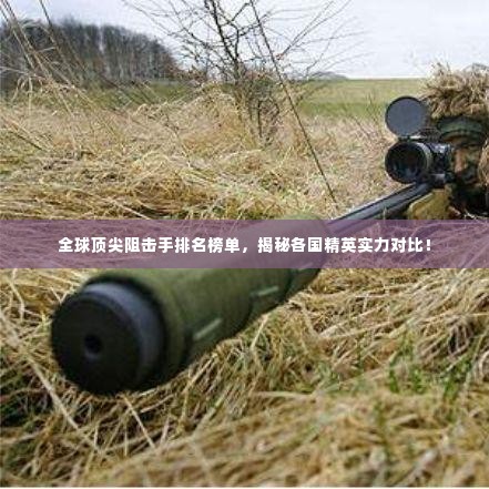 全球顶尖阻击手排名榜单，揭秘各国精英实力对比！