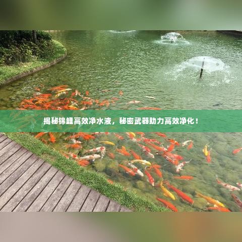揭秘锦鲤高效净水液,秘密武器助力高效净化!