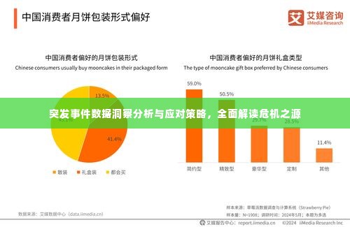 突发事件数据洞察分析与应对策略,全面解读危机之源