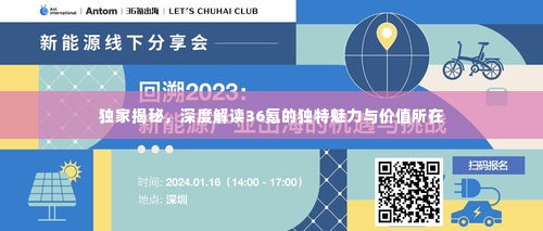 独家揭秘,深度解读36氪的独特魅力与价值所在