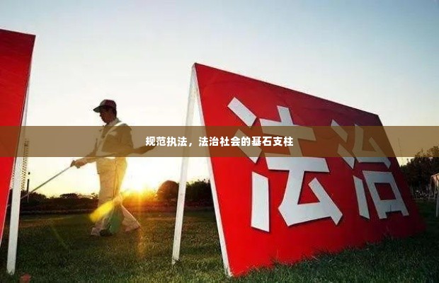 规范执法,法治社会的基石支柱