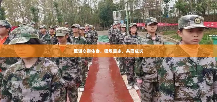 军训心得体会,锤炼意志,共同成长