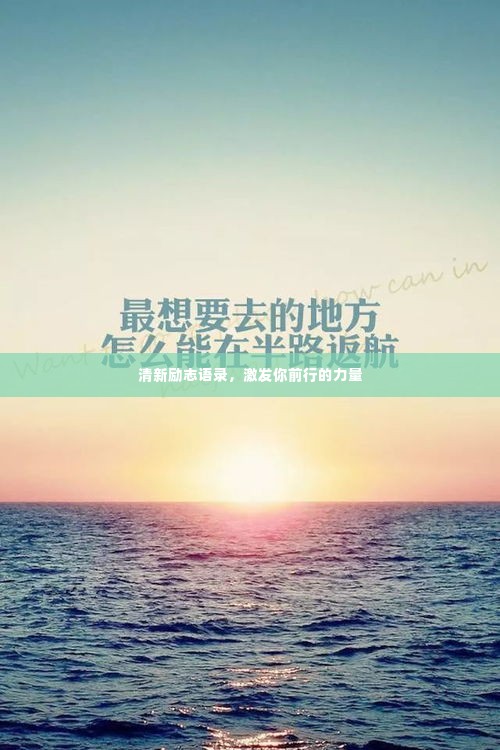 清新励志语录,激发你前行的力量