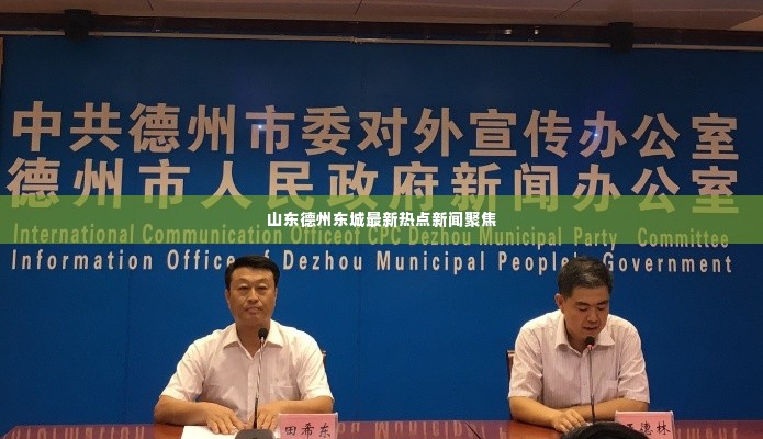山东德州东城最新热点新闻聚焦