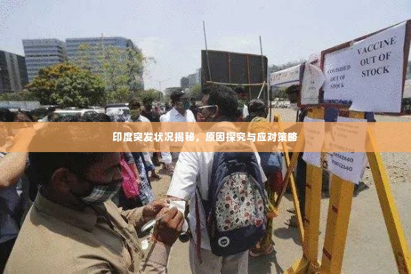 印度突发状况揭秘，原因探究与应对策略