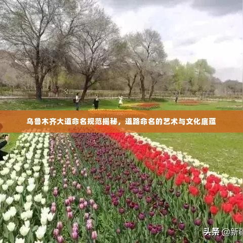 乌鲁木齐大道命名规范揭秘，道路命名的艺术与文化底蕴