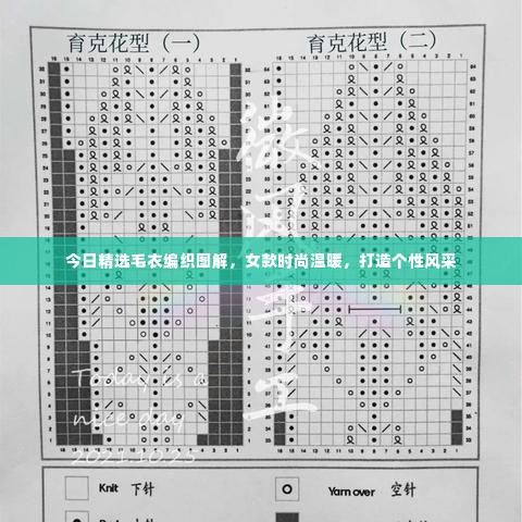 今日精选毛衣编织图解，女款时尚温暖，打造个性风采