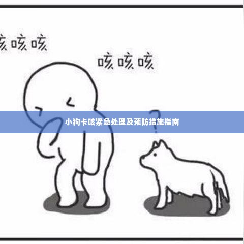 小狗卡咳紧急处理及预防措施指南