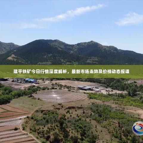 建平铁矿今日行情深度解析,最新市场走势及价格动态报道