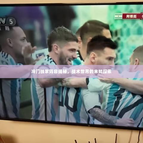 冷门独家阵容揭秘,战术世界的未知探索