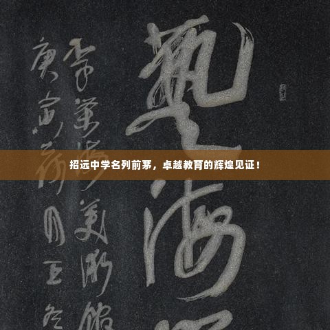 达官贵人 第3页