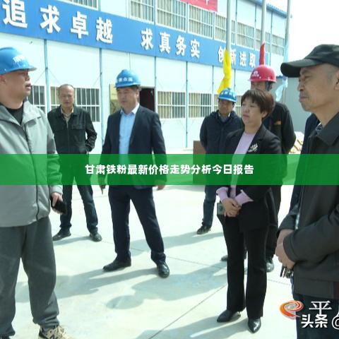 甘肃铁粉最新价格走势分析今日报告